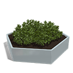 Jardinière hexagone 