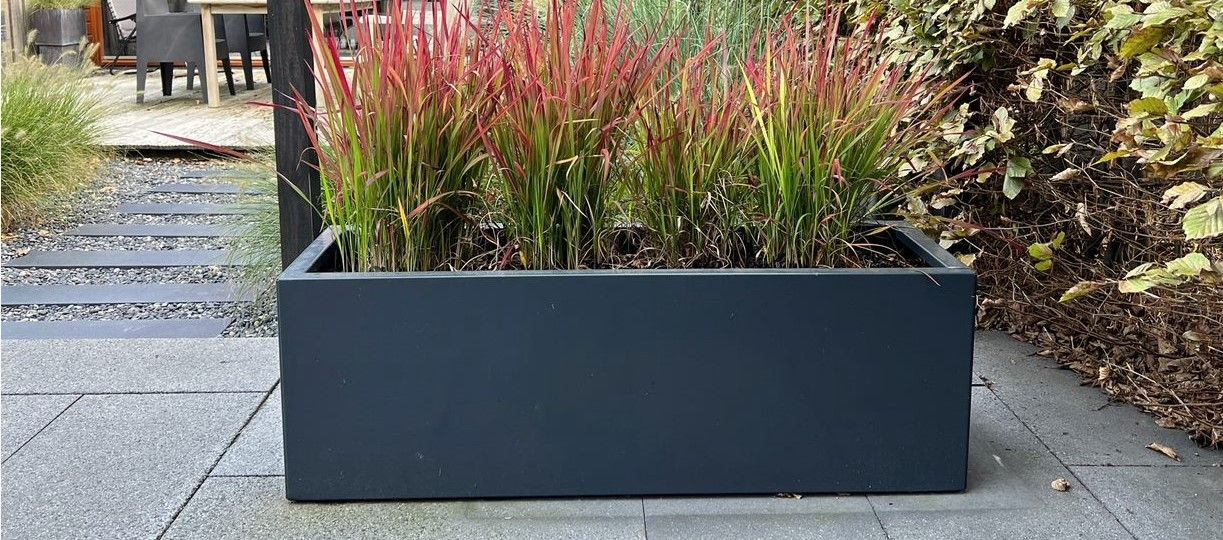 Jardinière rectangle