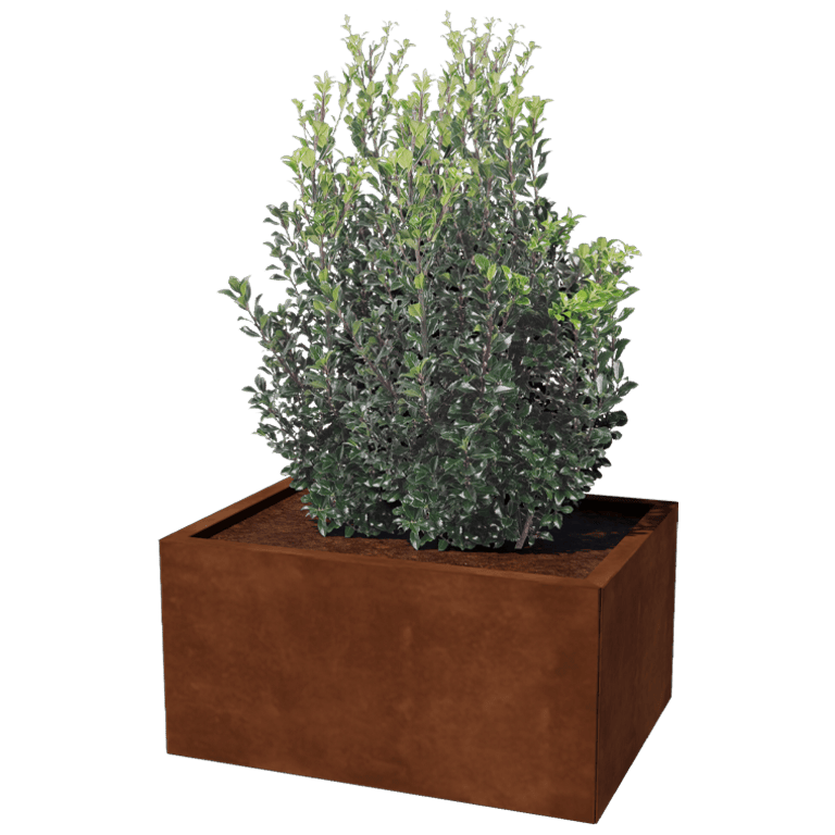Bac à plantes en acier corten Texas 60 x 80 cm