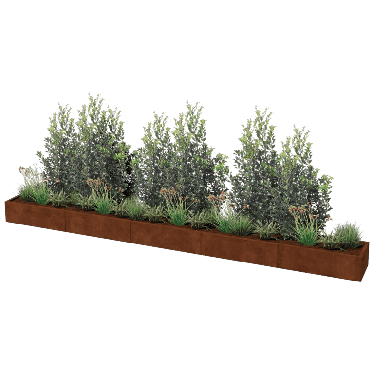 Bac à plantes en acier corten Texas xxl 500 x 50 cm