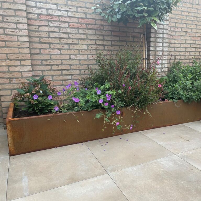 Paroi de soutènement en acier corten droite 2000mm (hauteur 300mm)