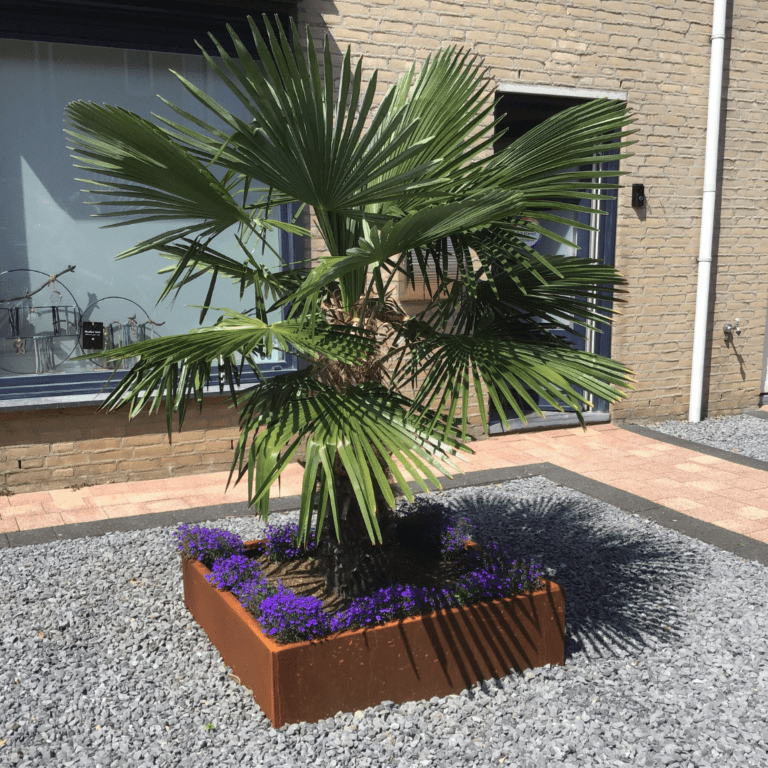 Bac à plantes en acier corten Miami 1000x1000
