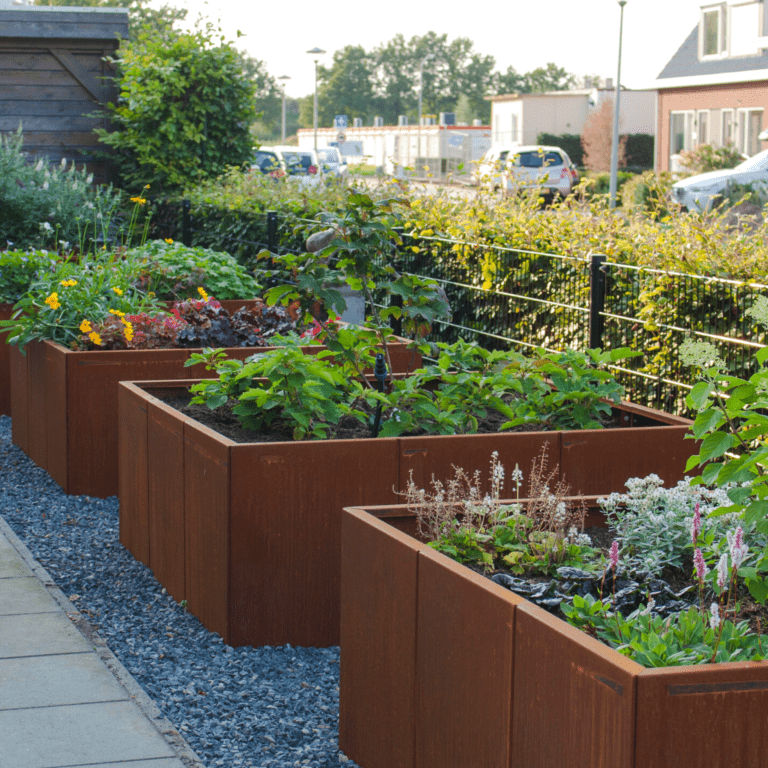 Bac à plantes en acier corten Miami xxl 1500x1500