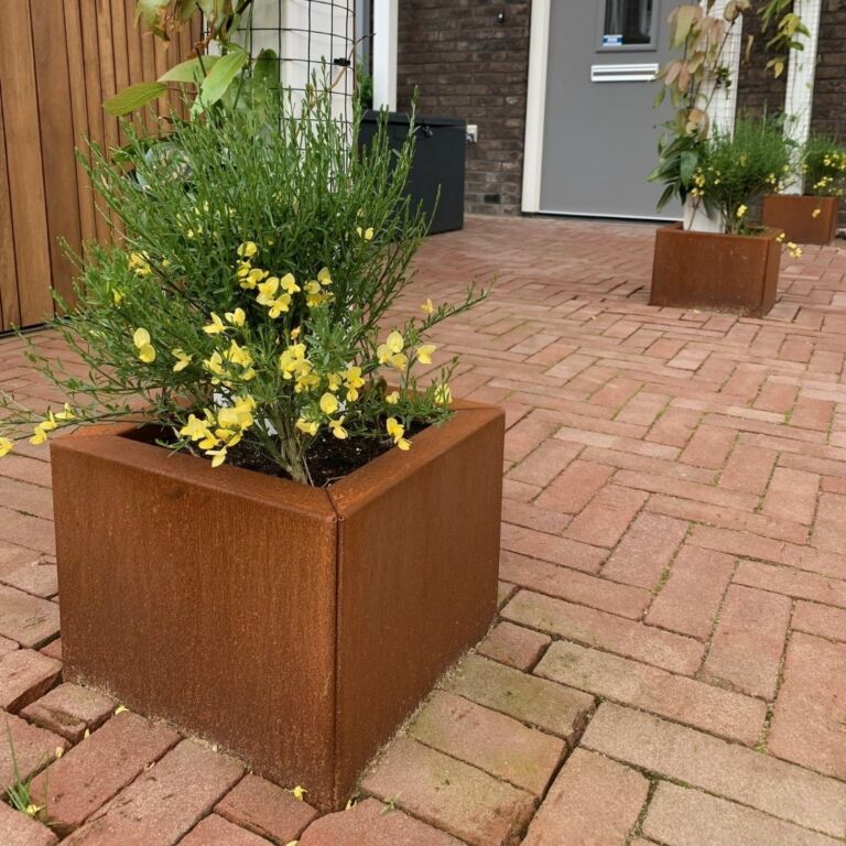 Bac à plantes en acier corten Miami 300x300