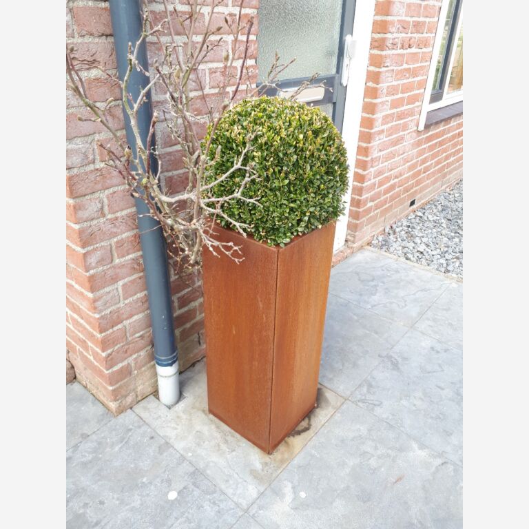 Bac à plantes en acier corten Miami 300x300