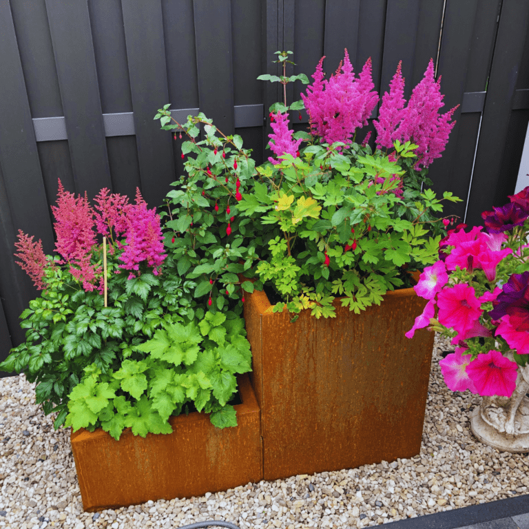 Bac à plantes en acier corten Miami special II 500