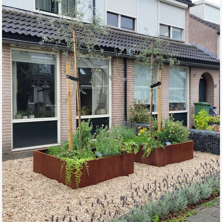 Bac à plantes en acier corten Miami 1200x1200