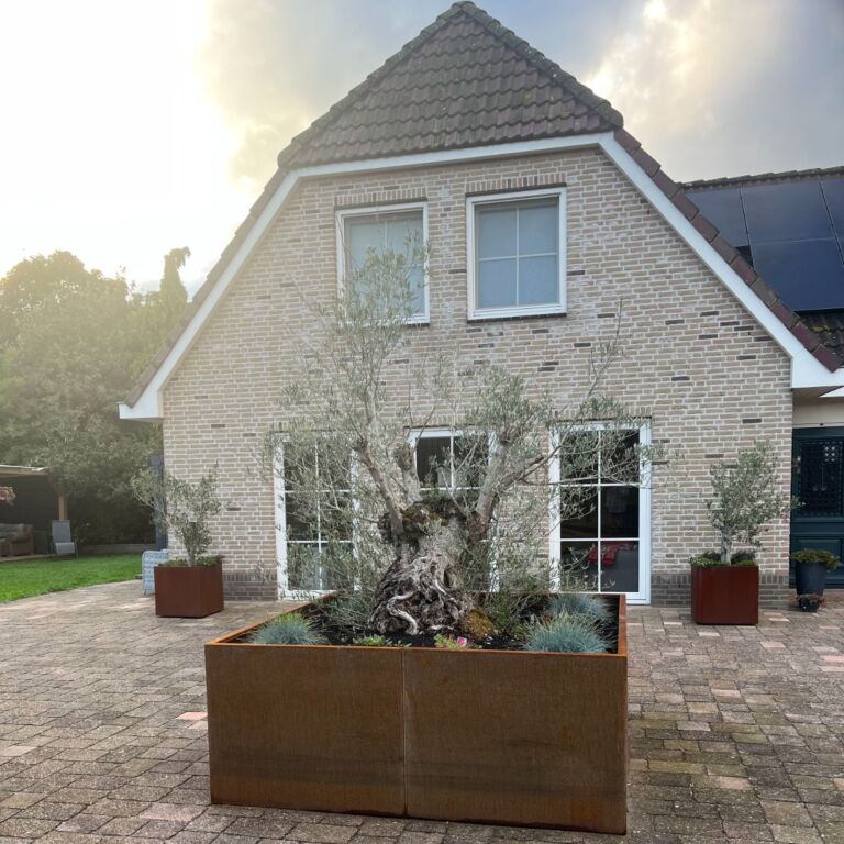 Bac à plantes en acier corten Miami xxl 2400x2400