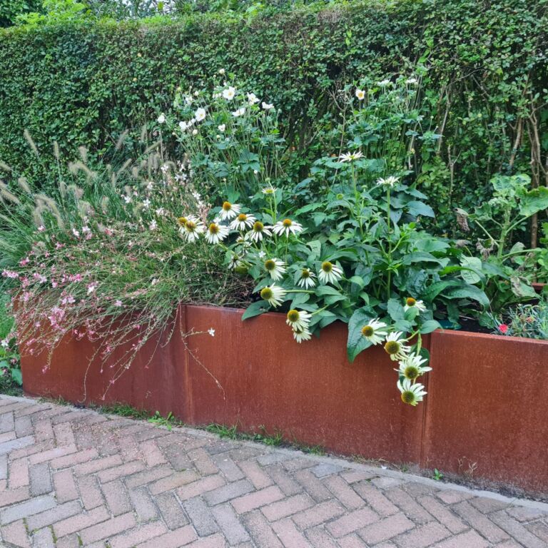 Bac à plantes en acier corten Texas xxl 3000x800