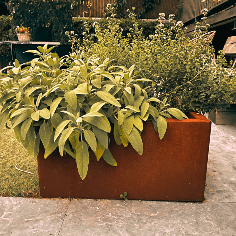 Bac à plantes en acier corten Texas 500x600