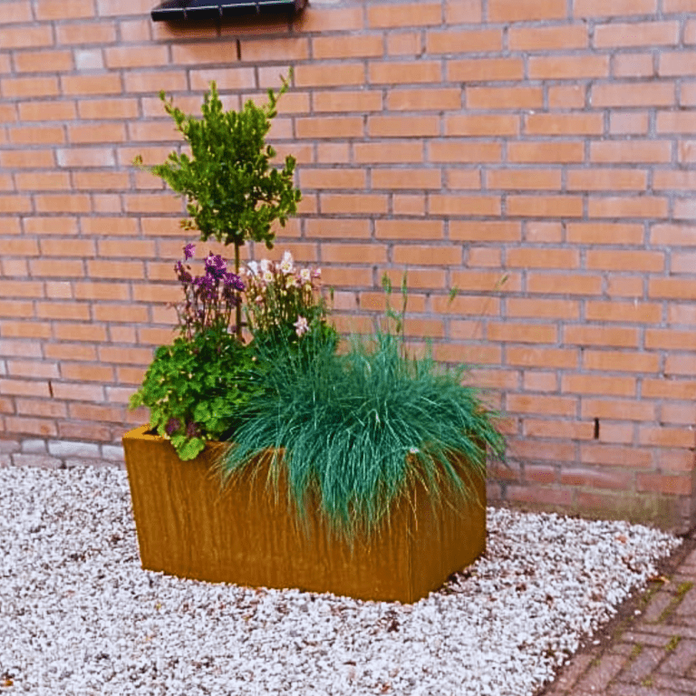 Bac à plantes en acier corten Texas 500x800