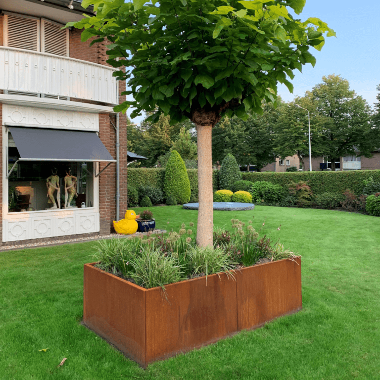 Bac à plantes en acier corten Texas xxl 2000x1200