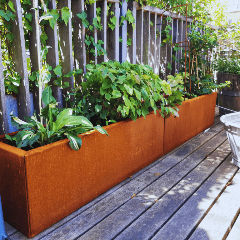 Bac à plantes en acier corten Texas xxl 2000x300