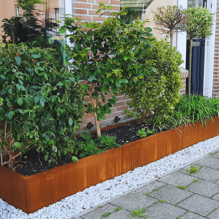 Bac à plantes en acier corten Texas xxl 3000x600