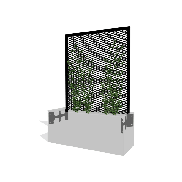 Support pour plantes grimpantes noir pour jardinière 100 x 50 cm
