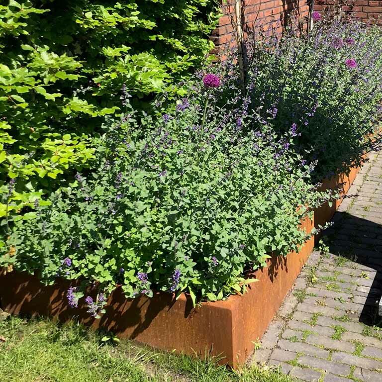 Mur de soutènement en acier corten droit 100 cm (hauteur 50 cm)