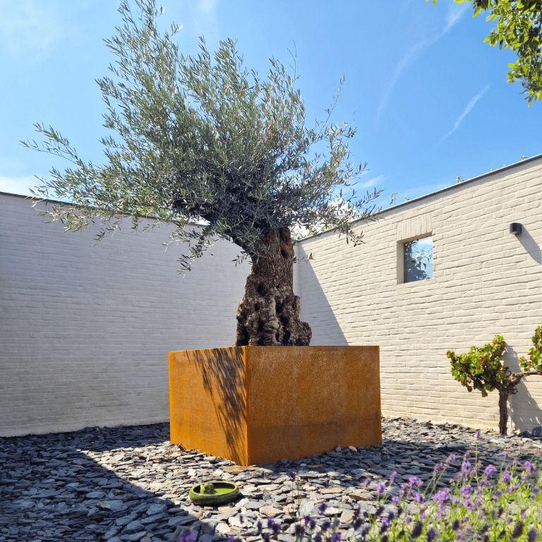 Bac à plantes soudée en acier corten Montana 140 x 140 x 80 cm