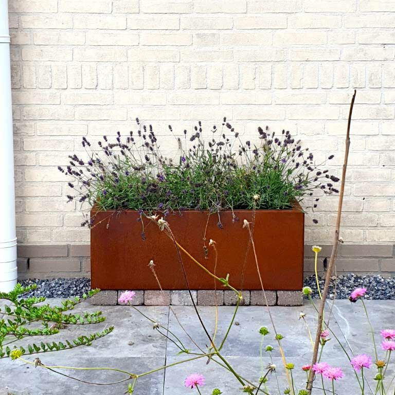 Bac à plantes en acier corten Texas 30 x 80 cm