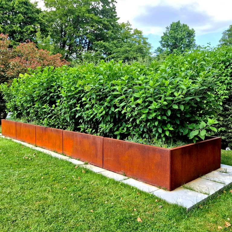 Bac à plantes en acier corten Texas xxl 300 x 40 cm