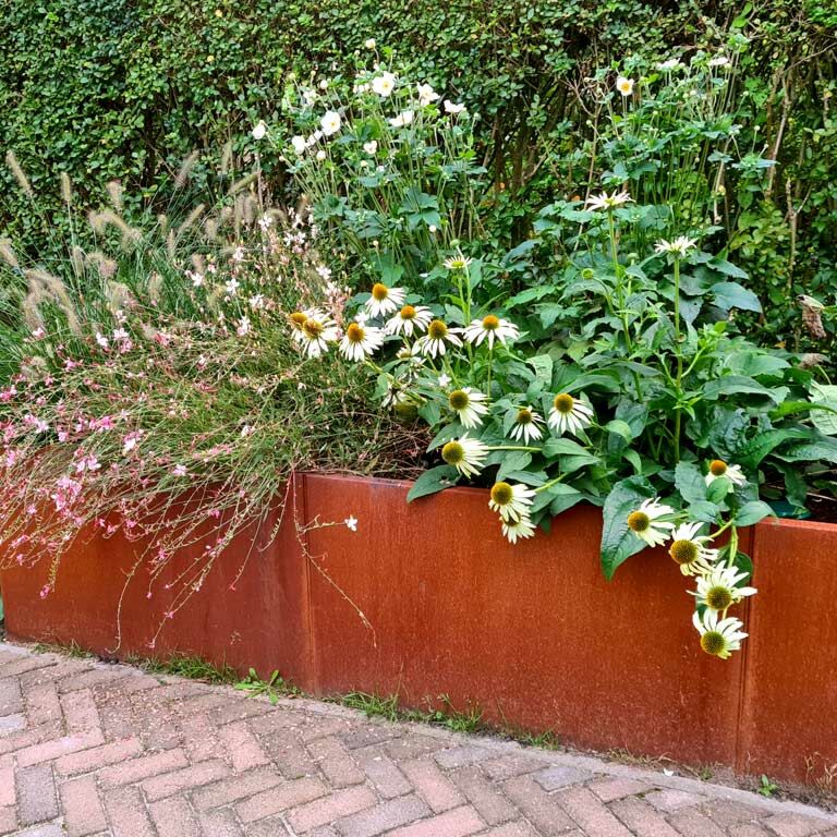 Jardinière en acier corten Texas xxl 300 x 80 cm