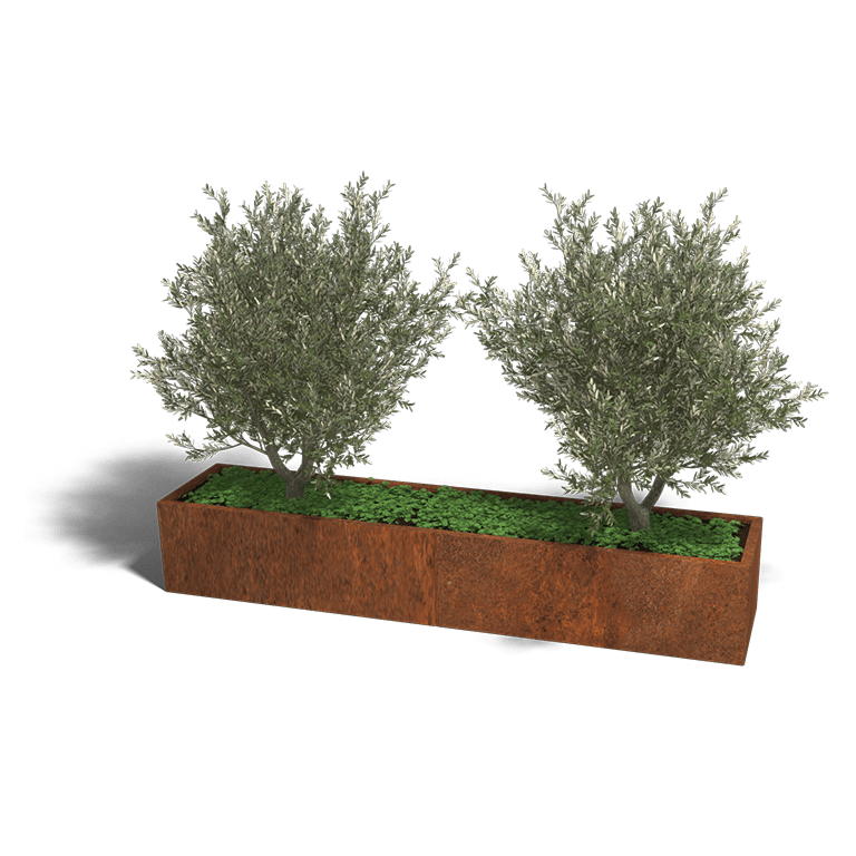 Bac à plantes en acier corten Texas xxl 240 x 50 cm