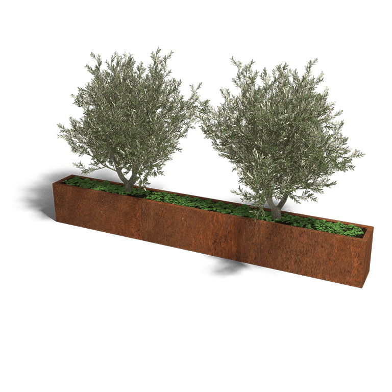 Bac à plantes en acier corten Texas xxl 300 x 30 cm