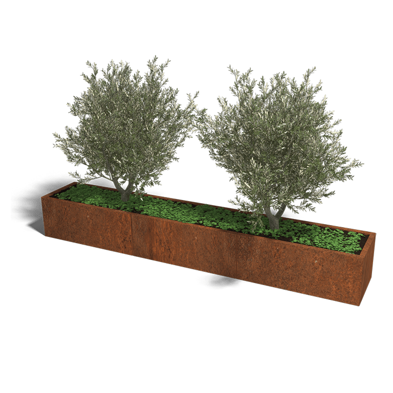 Bac à plantes en acier corten Texas xxl 300 x 50 cm