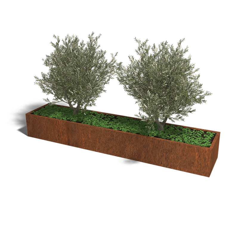 Bac à plantes en acier corten Texas xxl 300 x 60 cm