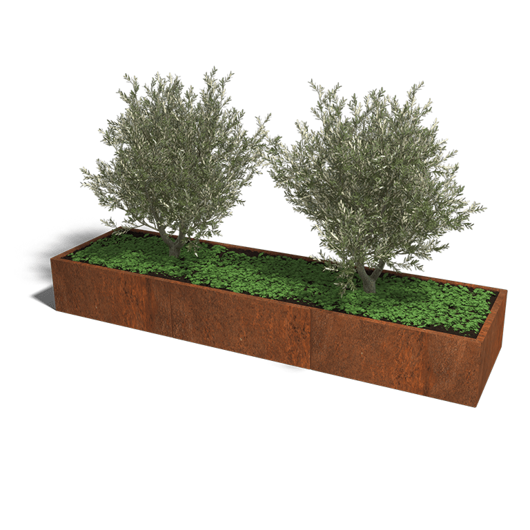 Bac à plantes en acier corten Texas xxl 3000x800