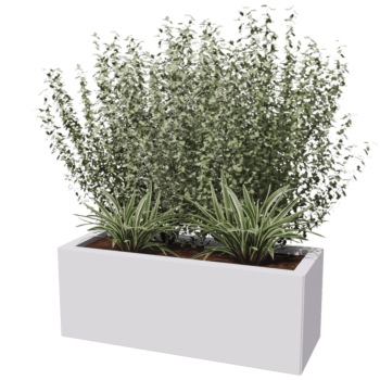 Jardinière en acier - Rectangle - 80 x 30 x 60 cm - Autre couleur RAL - Avec plaque de fond - Avec pieds