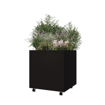 Jardinière en acier - Carré - 70 x 70 x 70 cm - RAL9005 mat (noir) - Avec plaque de fond - Avec roulettes