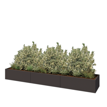 Jardinière XXL en acier - Rectangle - 360 x 60 x 40 cm - RAL7016 mat (gris anthracite) - Avec plaque de fond