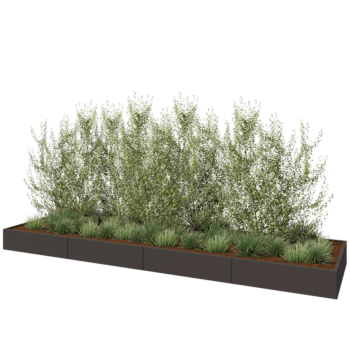 Jardinière XXL en acier - Rectangle - 480 x 120 x 30 cm - RAL7016 mat (gris anthracite) - Sanc plaque de fond