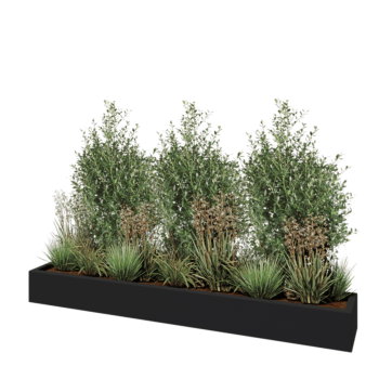 Jardinière en polyester - Rectangle - 200 x 30 x 20 cm - RAL7021 mat (gris noir) - Avec fond