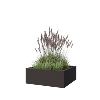 Jardinière en acier - Carré - 80 x 80 x 30 cm - RAL7016 mat (gris anthracite) - Sanc plaque de fond