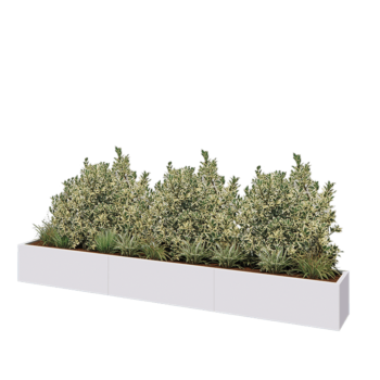 Jardinière XXL en acier - Rectangle - 360 x 40 x 40 cm - RAL9010 mat (blanc) - Sanc plaque de fond