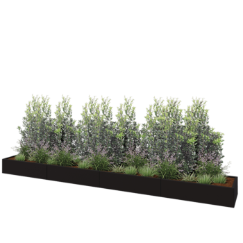 Jardinière XXL en acier - Rectangle - 480 x 60 x 30 cm - RAL9005 mat (noir) - Sanc plaque de fond