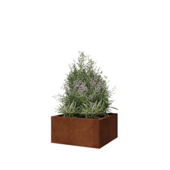Jardinière en acier Corten - Carré - 60 x 60 x 30 cm - Sanc plaque de fond