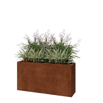 Jardinière en acier Corten - Rectangle - 120 x 30 x 60 cm - Avec plaque de fond