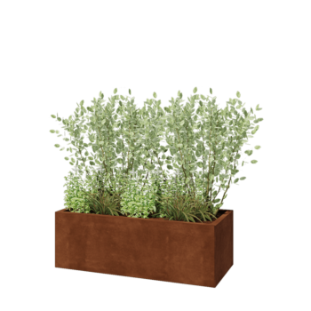 Jardinière en acier Corten - Rectangle - 120 x 50 x 40 cm - Avec plaque de fond