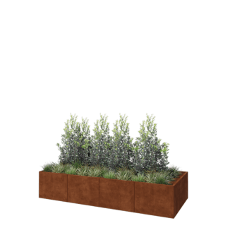 Jardinière XXL en acier Corten - Rectangle - 320 x 120 x 60 cm - Sanc plaque de fond