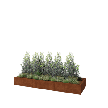 Jardinière XXL en acier Corten - Rectangle - 360 x 120 x 40 cm - Avec plaque de fond