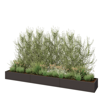 Jardinière XXL en acier - Rectangle - 360 x 50 x 30 cm - RAL7016 mat (gris anthracite) - Avec plaque de fond