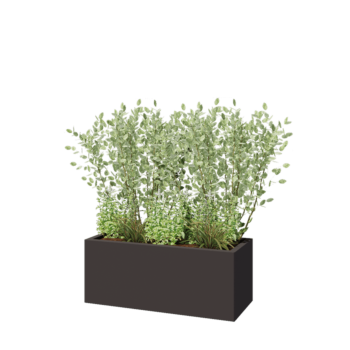 Jardinière en acier - Rectangle - 100 x 40 x 40 cm - RAL7016 mat (gris anthracite) - Avec plaque de fond