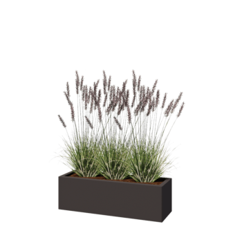 Jardinière en acier - Rectangle - 100 x 30 x 30 cm - RAL7016 mat (gris anthracite) - Avec plaque de fond