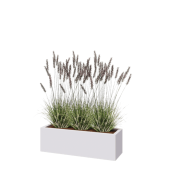Jardinière en acier - Rectangle - 100 x 30 x 30 cm - RAL9010 mat (blanc) - Avec plaque de fond