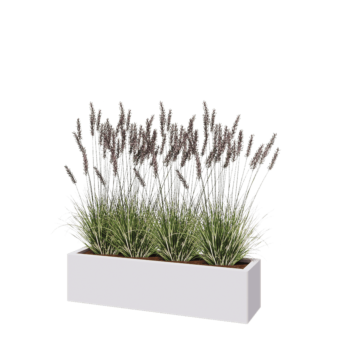 Jardinière en acier - Rectangle - 120 x 30 x 30 cm - RAL9010 mat (blanc) - Sanc plaque de fond