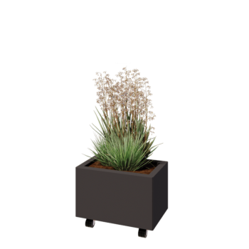 Jardinière en acier - Rectangle - 50 x 30 x 30 cm - RAL7016 mat (gris anthracite) - Avec plaque de fond - Avec roulettes