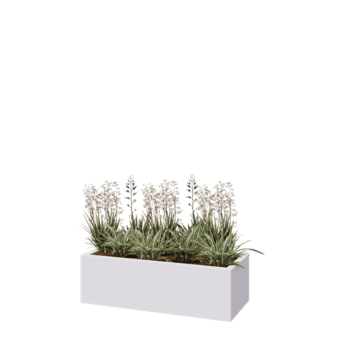 Jardinière en acier - Rectangle - 100 x 40 x 30 cm - RAL9010 mat (blanc) - Sanc plaque de fond