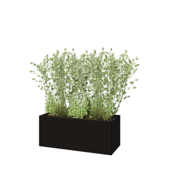 Jardinière en acier - Rectangle - 100 x 40 x 40 cm - RAL9005 mat (noir) - Avec plaque de fond